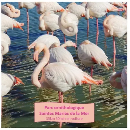 T2 Traversant Familial Cap Sud Parking Plages - Rossiconciergerie - Linge En Option * La Grande-Motte